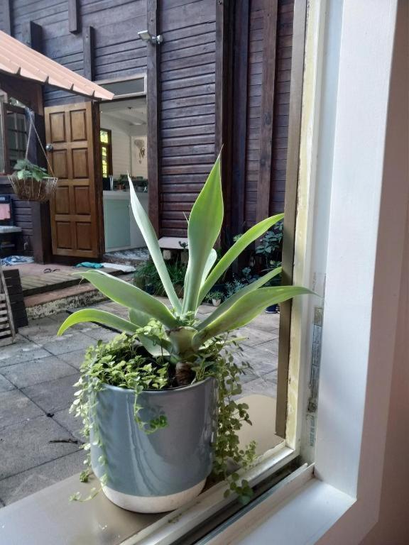 Chalet Ohana, Airport Family House Faaa Luaran gambar